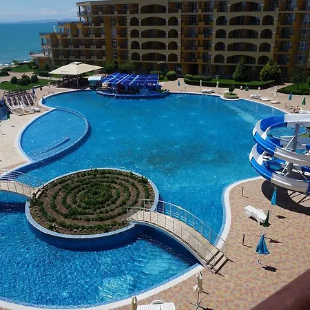 мидия на първа линия - Midia First Line