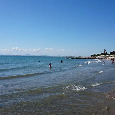 мидия на първа линия - Midia First Line