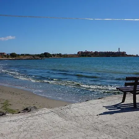 мидия на първа линия - Midia First Line Aheloy