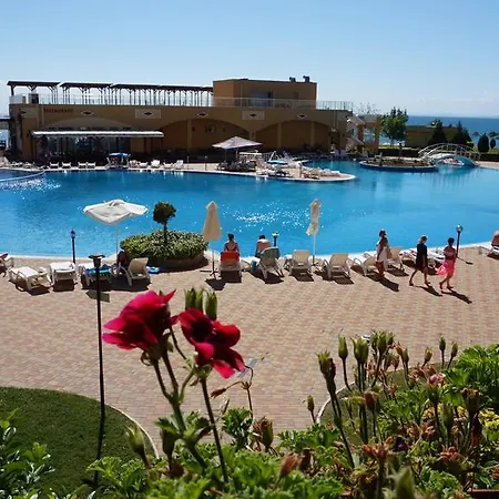 мидия на първа линия - Midia First Line