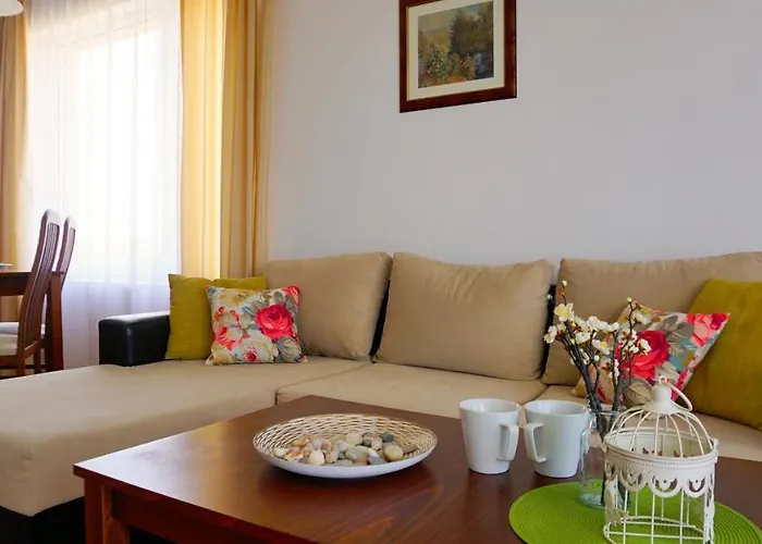 мидия на първа линия - Midia First Line