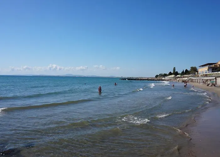 мидия на първа линия - Midia First Line