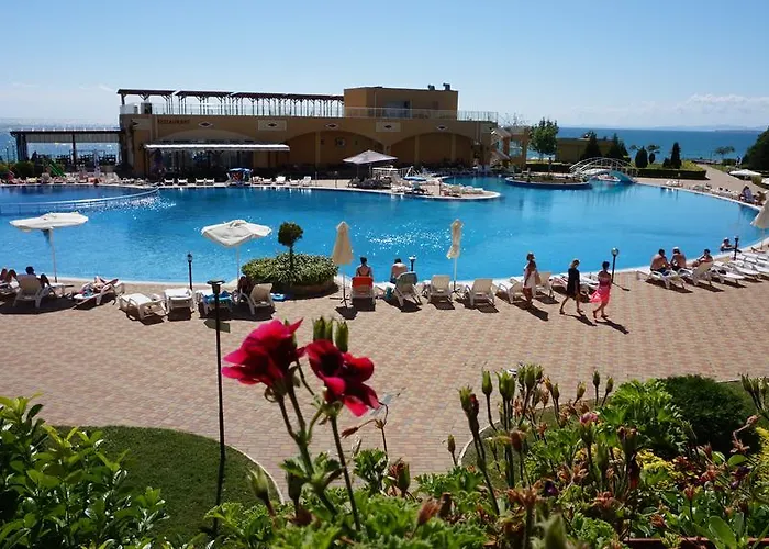 мидия на първа линия - Midia First Line